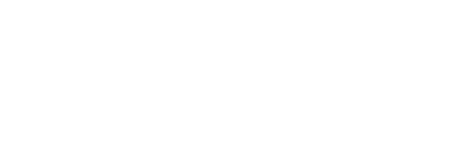 Best Solution Group official logo